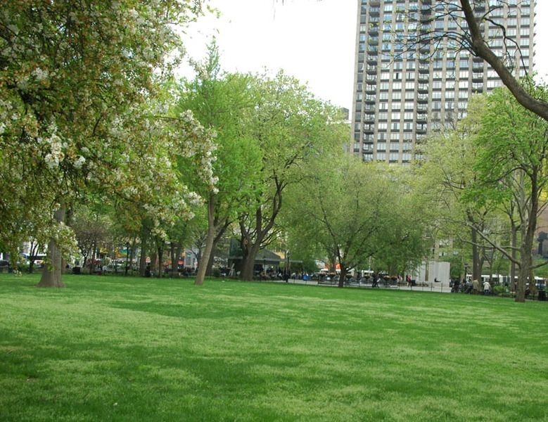que faire à new york