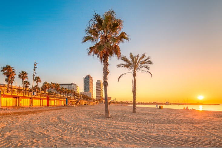 l'une des plus belles plages de barcelone : la mar bela